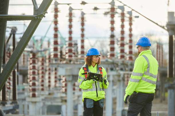 Best Electric Panel Repair  in Logan, NM